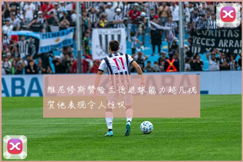 维尼修斯赞哈兰德进球能力超凡祝贺他表现令人惊叹